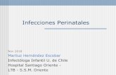 Infecciones Perinatales - CERPO
