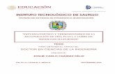 Instituto Tecnológico de Saltillo INSTITUTO TECNOLÓGICO …
