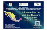 Información de Uso del Suelo y Vegetación