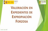 VALORACIÓN EN EXPEDIENTES DE EXPROPIACIÓN FORZOSA