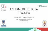 ENFERMEDADES DE LA TRAQUEA - Intorax