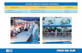 CENTROS MÉDICOS PRUEBAS ANTIGENAS - Cruz del Sur