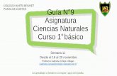 COLEGIO MARTA BRUNET Guía N 9 Asignatura Ciencias ...
