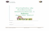 Portafolio de Evidencias Matemáticas 1 Mixto Ago-Dic 2017