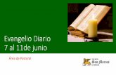 Evangelio Diario 7 al 11de junio - Colegio San Marcos