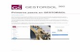 Primeros pasos en GESTORSOL - sdelsol.com