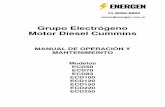 Grupo Electrógeno Motor Diesel Cummins