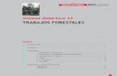 Unidad didáctica 18 TRABAJOS FORESTALES