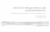 [M.D.S.] Diagnóstico de planeamiento