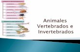 Animales Vertebrados e Invertebrados - EPA Pontevedra