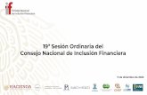 19ª Sesión Ordinaria del Consejo Nacional de Inclusión ...