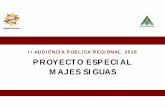 II AUDIENCIA PÚBLICA REGIONAL 2018 PROYECTO ESPECIAL …
