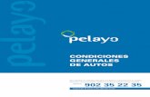 CONDICIONES GENERALES DE AUTOS - Pelayo