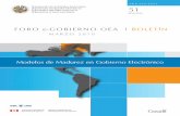 FORO e-GOBIERNO OEA | BOLETÍN