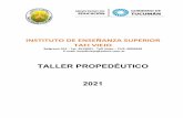 TALLER PROPEDÉUTICO 2021 - Instituto de Enseñanza ...