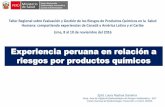 Experiencia peruana en relación a riesgos por productos ...