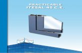 PRACTICABLE ITESAL 45 C.E.