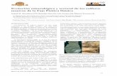 Evolución mineralógica y textural de los sulfuros masivos ...