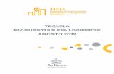 TEQUILA DIAGNÓSTICO DEL MUNICIPIO AGOSTO 2019