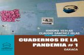 CUADERNOS DE LA PANDEMIA # 1