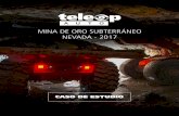MINA DE ORO SUBTERRÁNEO NEVADA - 2017
