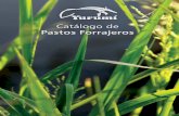 YURUMI-Catalogo de Pastos forrajeros 2021