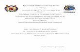 Universidad Michoacana de San Nicolás Maestría en Ciencias ...
