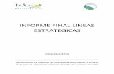 INFORME FINAL LINEAS ESTRATEGICAS - Municipalidad de Los ...