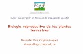 Biología reproductiva de las plantas terrestres