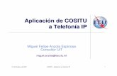Aplicación de COSITU a Telefonía IP