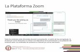La Plataforma Zoom - MHTTC) Network