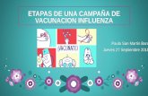 ETAPAS DE UNA CAMPAÑA DE VACUNACION INFLUENZA