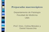 Departamento de Patología Facultad de Medicina UBA Daniel ...