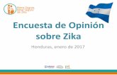 Encuesta de Opinión sobre Zika