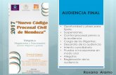 AUDIENCIA FINAL - Mendoza