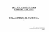 RECURSOS HUMANOS EN GRANJAS PORCINAS ORGANIZACIÓN DE ...