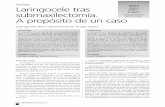 AUTORES Caso Clínico Laringocele tras De Miguel F ...