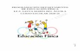 PROGRAMACIÓN DEPARTAMENTO DE EDUCACIÓN FÍSICA I.E.S. …