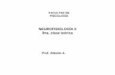 NEUROFISIOLOGÍA II 9na. clase teórica