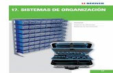 17. SISTEMAS DE ORGANIZACIÓN - Limapex