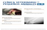 CLÍNICA VETERINARIA DE PEQUEÑOS ANIMALES