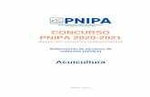 CONCURSO PNIPA 2020-2021 - Programa Nacional de ...