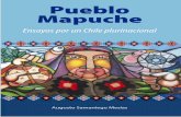 Pueblo Mapuche. - ariadnaediciones