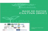 ACACIA Cultiva: Equipo Cultiva 1/1/2018