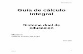 Guía de cálculo Integral
