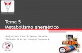 Tema 4 Metabolismo energético