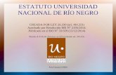 ESTATUTO UNIVERSIDAD NACIONAL DE RÍO NEGRO