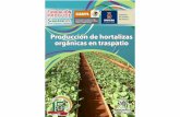 Producción de hortalizas - fps.org.mx