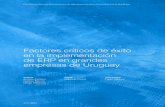 FCE en implementacion de ERP en grandes empresas de Uruguay.