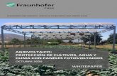 AGRIVOLTAICO: PROTECCIÓN DE CULTIVOS, AGUA Y CLIMA CON ...